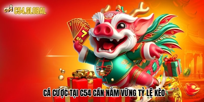 ca cuoc tai c54 can nam vung ty le keo Cá cược tại C54 cần nắm vững tỷ lệ kèo
